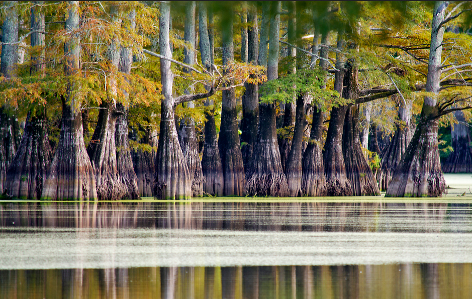 Build Your Dream House! HUGE Discount Infill Land Lot in Beebe, AR